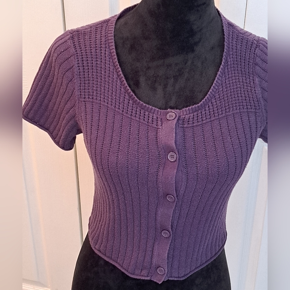 Liz Claiborne Axcess Blue Cropped Top Size M